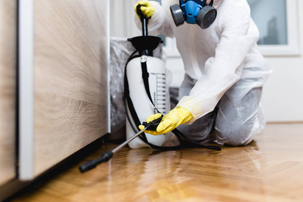 Best Affordable Pest Control Services  in Braska City, NE