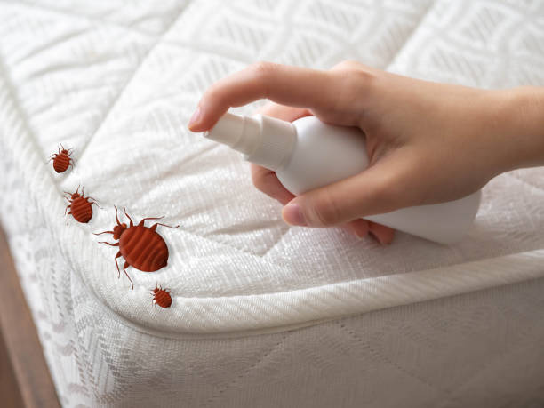 Best Pest Control Near Me in Nebraska City, NE