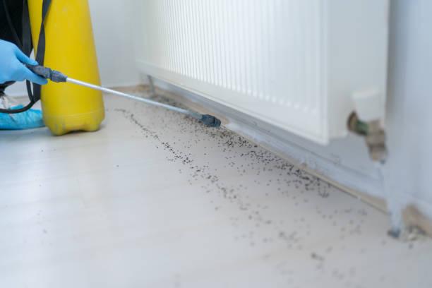Nebraska City, NE Pest Control Company